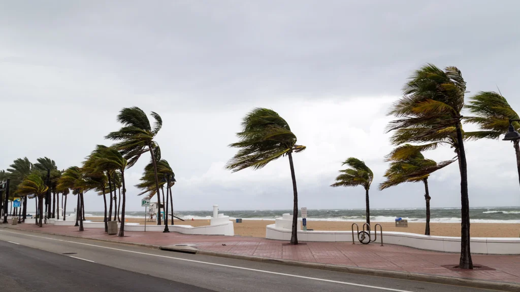 fenómeno climático El Niño