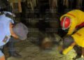 ¡Del tiroteo al mar! Investigan si cuerpo hallado flotando en La Ceiba es el de hombre atacado a balazos
