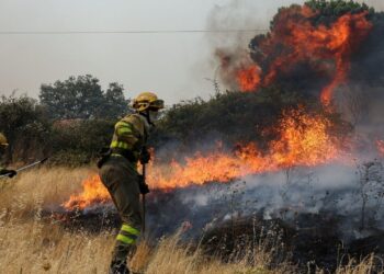 Incendios en Madrid y Ávila