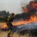 Incendios en Madrid y Ávila