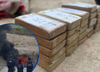 Incineran 244 kilos de cocaína decomisados en diversas operaciones