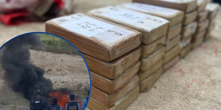 Incineran 244 kilos de cocaína decomisados en diversas operaciones