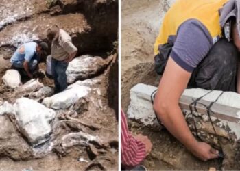 Descubren el fósil de un perezoso gigante en nororiente de Honduras