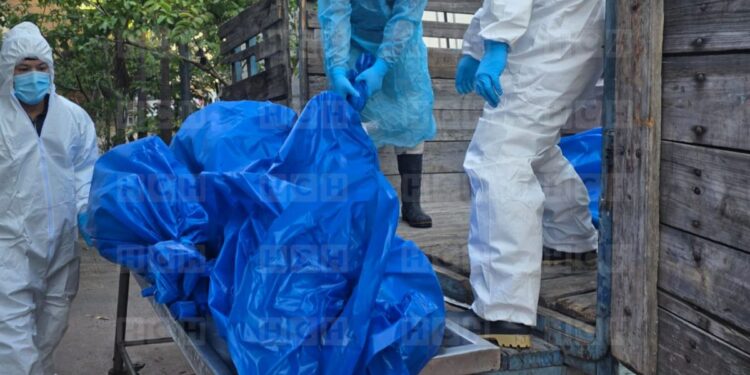 Medicina Forense inhuma hoy 26 cuerpos no reclamados en Tegucigalpa