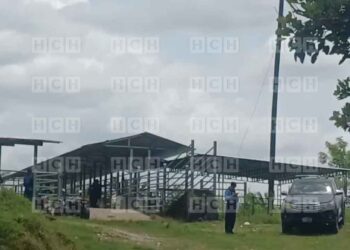 ¡Nueva masacre en Honduras! Al menos ocho campesinos asesinados en una finca de palma de Atlántida