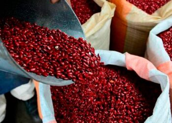 Gobierno de Honduras anuncia frijoles desde Brasil, Nicaragua y Paraguay para evitar el desabastecimiento