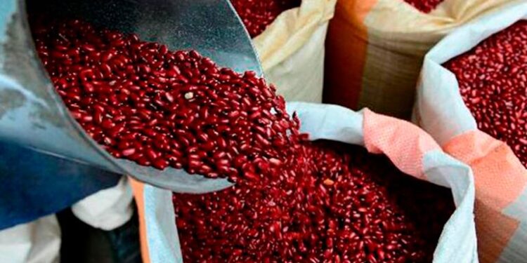 Gobierno de Honduras anuncia frijoles desde Brasil, Nicaragua y Paraguay para evitar el desabastecimiento