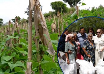 Más de 15 mil familias del corredor seco recibirán alimentos tras pérdidas provocadas por la sequía