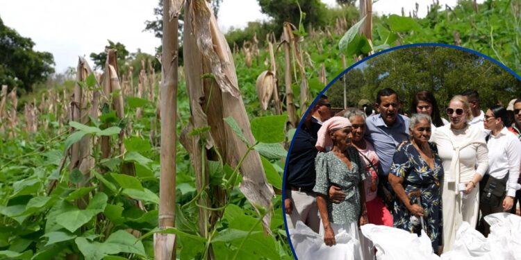 Más de 15 mil familias del corredor seco recibirán alimentos tras pérdidas provocadas por la sequía