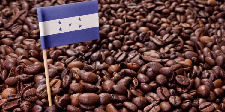 Café hondureño conquista 161 mercados internacionales y Estados Unidos se mantiene como su principal comprador