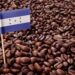 Café hondureño conquista 161 mercados internacionales y Estados Unidos se mantiene como su principal comprador