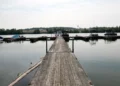 Cinco personas mueren ahogadas al tratar de salvar a un nadador en apuros en un río de Ohio, EEUU; varios serían hondureños