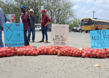 Productores de cebolla advierten que dejarán de cultivar ante incumplimiento de acuerdo gubernamental