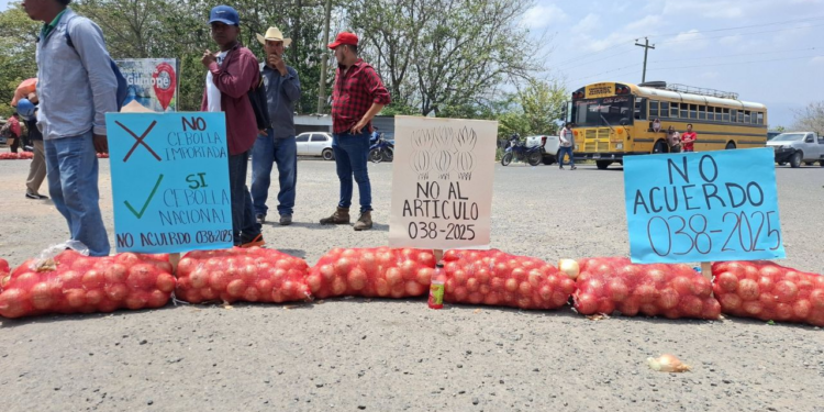 Productores de cebolla advierten que dejarán de cultivar ante incumplimiento de acuerdo gubernamental