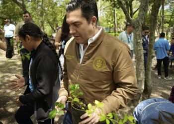 AMDC y estudiantes plantan 100 árboles para fortalecer las áreas verdes del cerro Juana Laínez