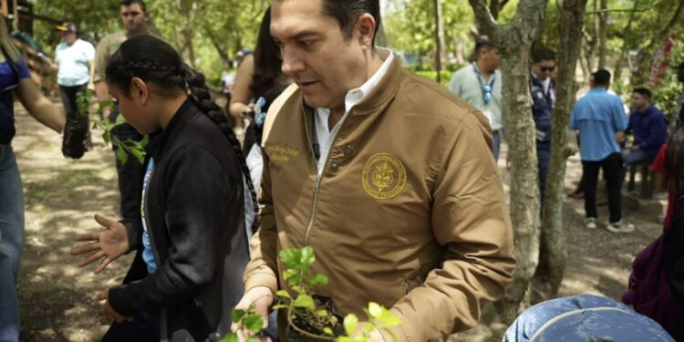 AMDC y estudiantes plantan 100 árboles para fortalecer las áreas verdes del cerro Juana Laínez