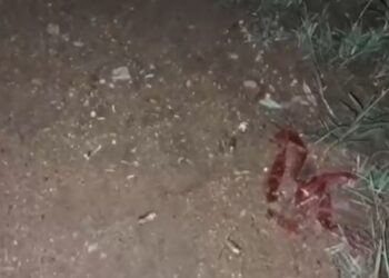 Un muerto y un herido deja fuerte balacera en Catacamas, Olancho