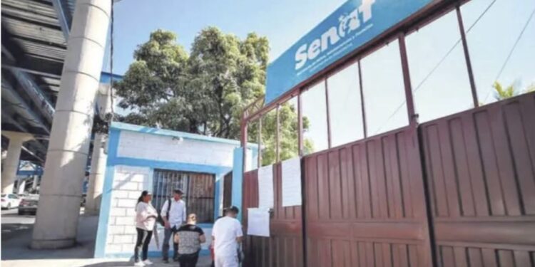A 90 días de los despidos, extrabajadores de SENAF denuncian incumplimiento en el pago de prestaciones laborales