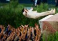 ¡Bad Bunny hace historia! Su show del Super Bowl arrasa con nueve nominaciones a los Emmy