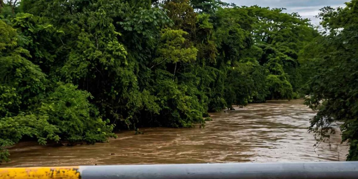 ¡Bajo el agua y aislados! Lluvias y crecida de ríos incomunican aldeas y arrasan cultivos en Catacamas