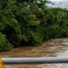 ¡Bajo el agua y aislados! Lluvias y crecida de ríos incomunican aldeas y arrasan cultivos en Catacamas