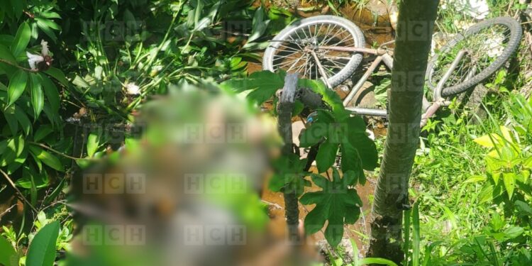 ¡Junto a su bici! Encuentran muerto a hombre a orilla de la CA-13, en La Ceiba
