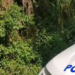 ¡La violencia no para! A mechetazos ultiman a joven en Las Flores, Lempira
