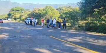 ¡Tragedia por vagancia animal! Motociclista perece tras impactar con una vaca en Olanchito