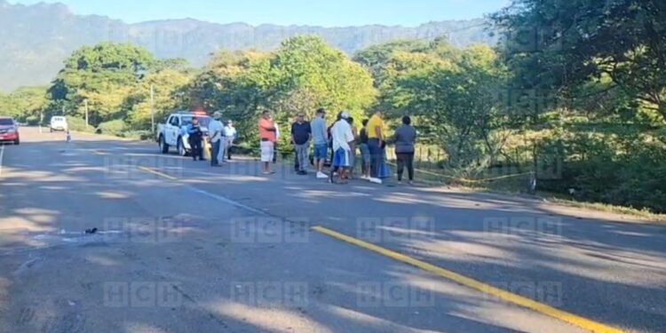¡Tragedia por vagancia animal! Motociclista perece tras impactar con una vaca en Olanchito