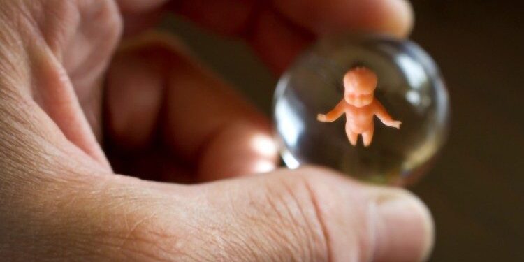 ¿Bebés diseñados con IA? La inteligencia artificial desata fuerte choque en la bioética mundial