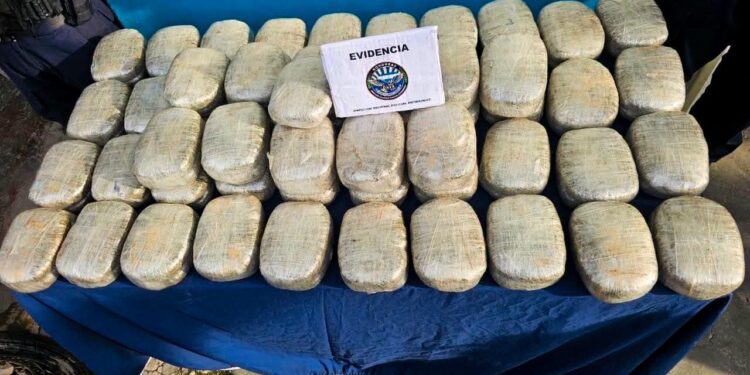 Decomisan 103 paquetes de “moña” que iban bien escondidos en un vehículo