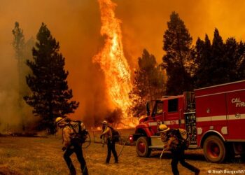 Estados Unidos declara la emergencia para combatir los incendios sin control en el noroeste