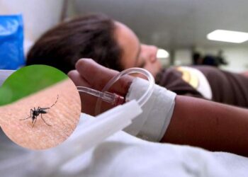 ¡Alerta por el dengue! Más de 7 mil casos en Honduras y autoridades lanzan llamado urgente a prevenir