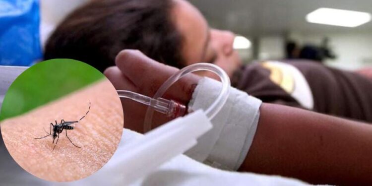 ¡Alerta por el dengue! Más de 7 mil casos en Honduras y autoridades lanzan llamado urgente a prevenir