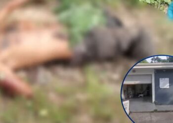 Asesinan hombre en Atlántida El Saladito