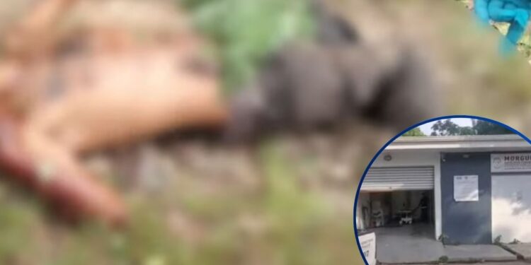Asesinan hombre en Atlántida El Saladito