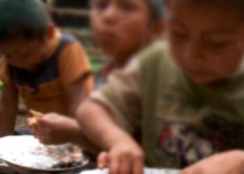 Inseguridad alimentaria afectaría a 2.2 millones de hondureños y 60 mil requieren atención urgente ante la sequía