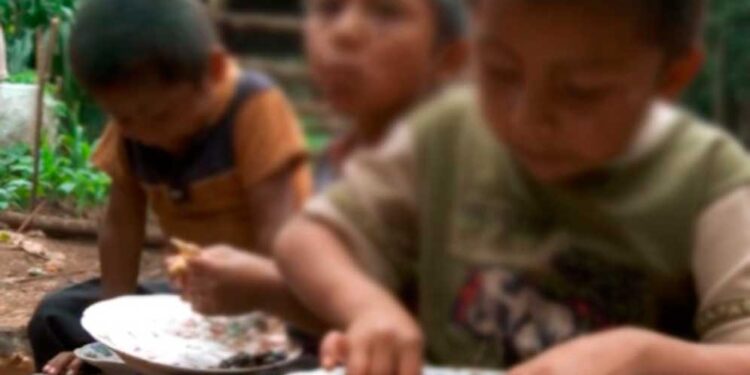 Inseguridad alimentaria afectaría a 2.2 millones de hondureños y 60 mil requieren atención urgente ante la sequía