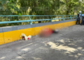 ¡Rosas y una tarjeta como último mensaje! Encuentran sin vida a una mujer en la vía rápida en la capital