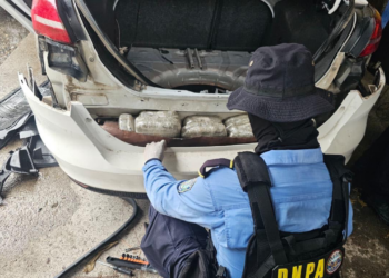 DNPA decomisa 88 libras de supuesta marihuana y detiene a un hombre en La Ceiba