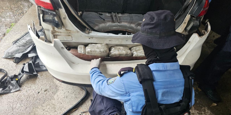 DNPA decomisa 88 libras de supuesta marihuana y detiene a un hombre en La Ceiba