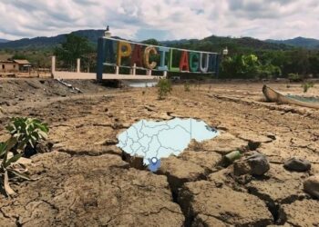 ¡Ni agua ni comida! 2,700 familias sufren los estragos de la sequía en Apacilagua, Choluteca