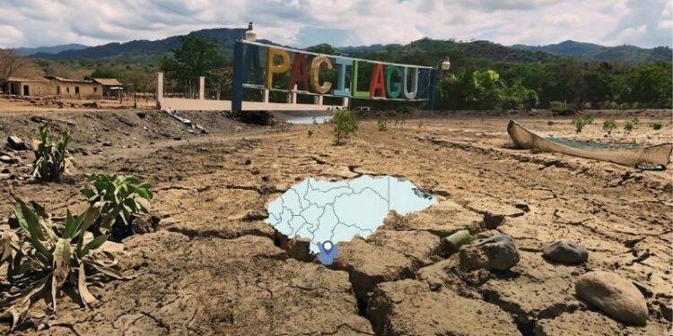 ¡Ni agua ni comida! 2,700 familias sufren los estragos de la sequía en Apacilagua, Choluteca
