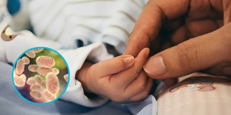Suben a 237 los casos de tos ferina en el país; autoridades confirman 17 fallecidos e instan a vacunar a embarazadas