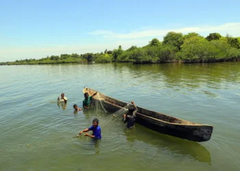 Pueblo Miskito enfrenta una crisis silenciosa: pesca ilegal, abandono y barreras que frenan sus derechos