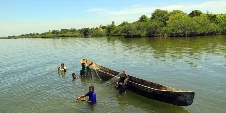 Pueblo Miskito enfrenta una crisis silenciosa: pesca ilegal, abandono y barreras que frenan sus derechos
