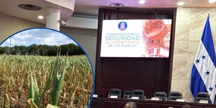 ¡Ante sequía! Congreso reúne hoy a alcaldes de 75 municipios para enfrentar crisis alimentaria