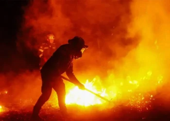 Los incendios en el centro de Colombia consumen más de 20,000 hectáreas de bosques y cultivos
