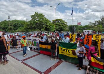 ACAINPH presentan 16 recursos de inconstitucionalidad contra el Decreto 107-2026 ante la Corte Suprema de Justicia