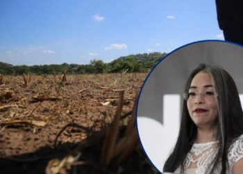 “Parecen ignorar el sufrimiento de su propia gente”: CNA arremete contra la respuesta estatal ante la sequía